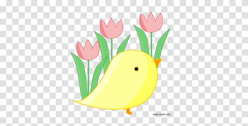 Free Easter Clip Art Easter Bunny Eggs And Chicks Clip Art, Plant, Flower, Blossom, Rose Transparent Png