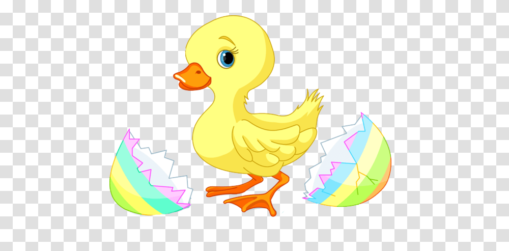 Free Easter Cupcake Cliparts, Animal, Bird, Duck, Dodo Transparent Png