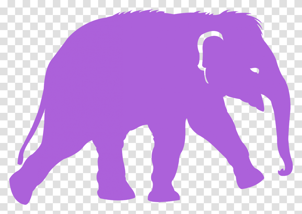 Free Elephant Vector, Mammal, Animal, Wildlife, Pig Transparent Png