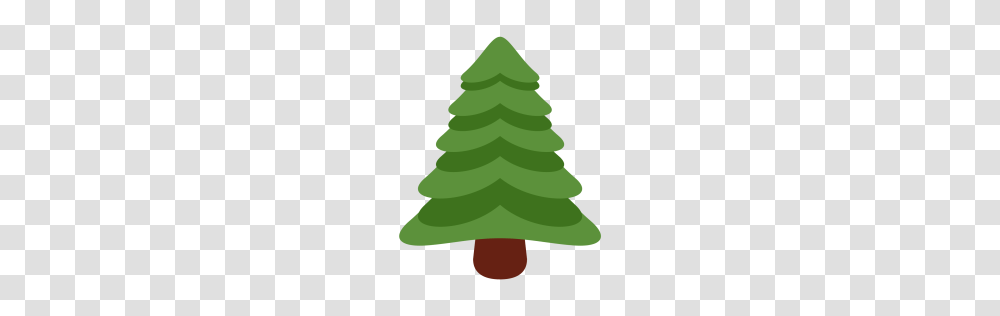 Free Evergreen Tree Christmas Pine Icon Download, Plant, Triangle, Ornament, Wedding Cake Transparent Png