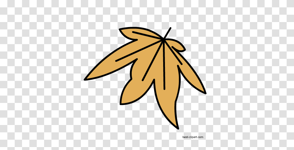 Free Fall Autumn Clip Artt, Leaf, Plant, Logo Transparent Png