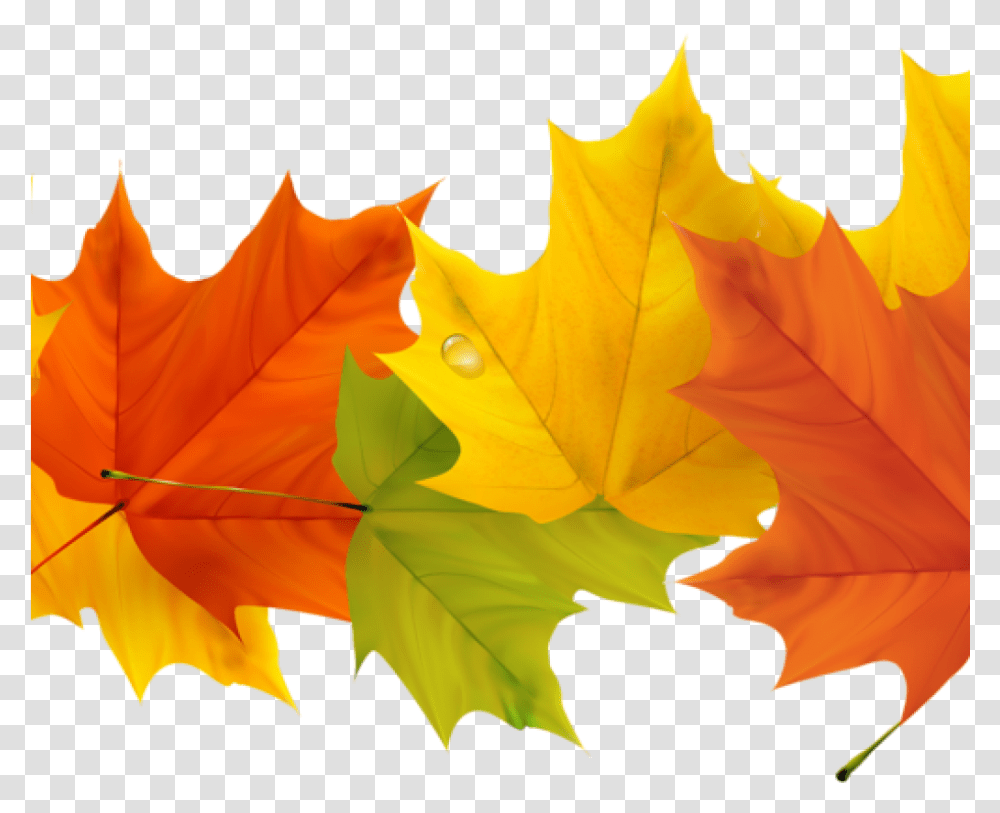 Free Fall Leaf Clip Art 19 Free Graphic Free Fall Leaves, Plant, Tree, Maple, Maple Leaf Transparent Png