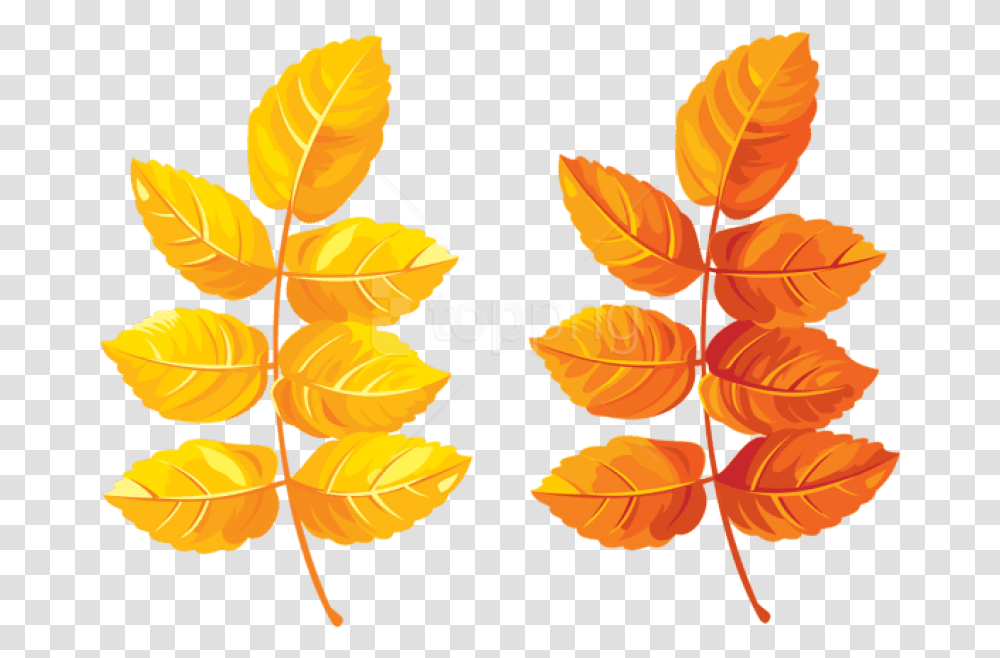 Free Fall Leaves Clipart Photo Yellow Orange Leaf Clipart, Plant, Veins, Silhouette, Tobacco Transparent Png