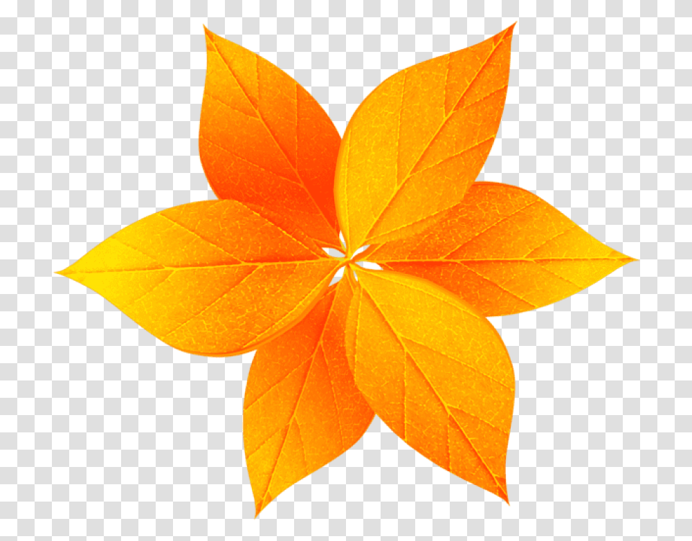 Free Fall Leaves Decoration Images Portable Network Graphics, Leaf, Plant, Maple Leaf, Tree Transparent Png