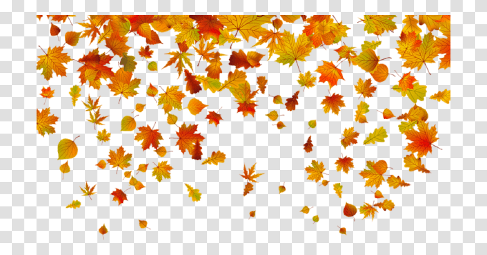Free Fall Leaves Images Fall Leaves, Leaf, Plant, Maple Leaf, Rug Transparent Png