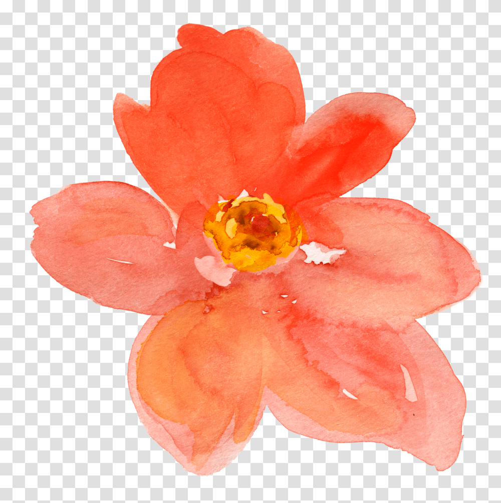 Free Fall Watercolor Floral Clip Art So Pretty Orange Watercolor Flower, Plant, Blossom, Pollen, Rose Transparent Png