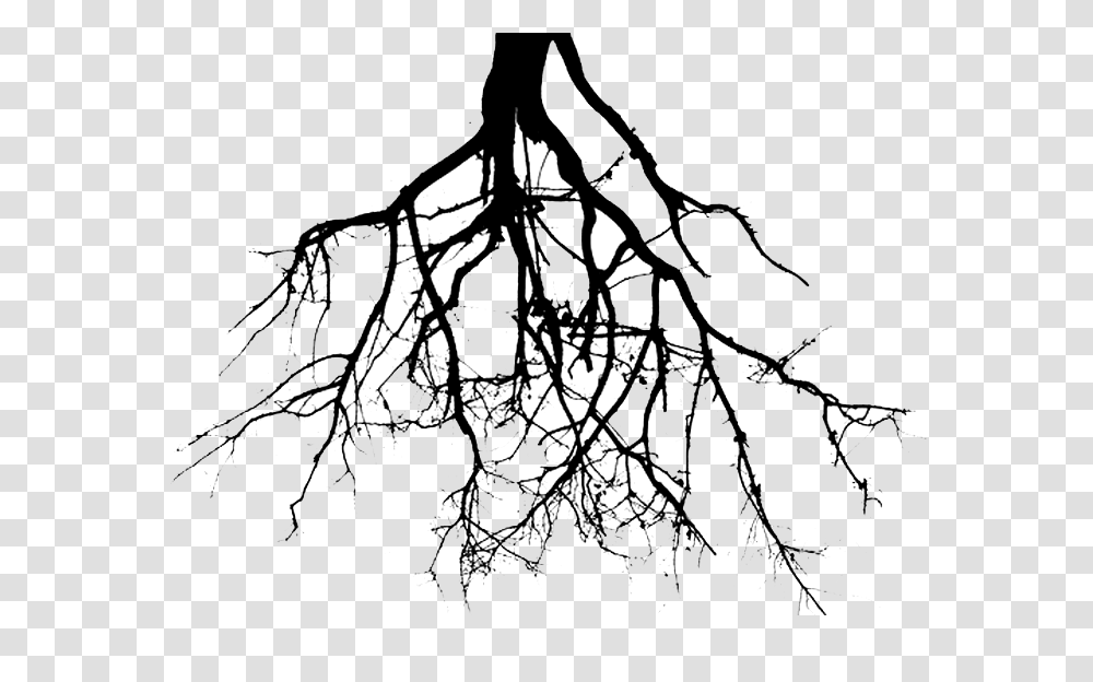 Free Family Tree Drawing On Wall, Spider Web, Plant, Root, Stencil Transparent Png