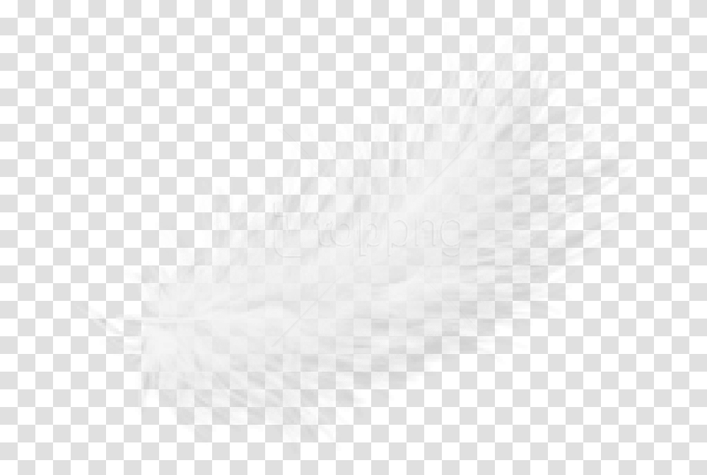 Free Feather Images White Feathers Free, Feather Boa, Scarf, Apparel Transparent Png