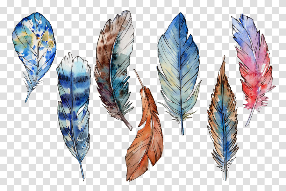 Free Feather & Featherpng Images Feather Bird Free Download, Pattern, Ornament, Graphics, Art Transparent Png