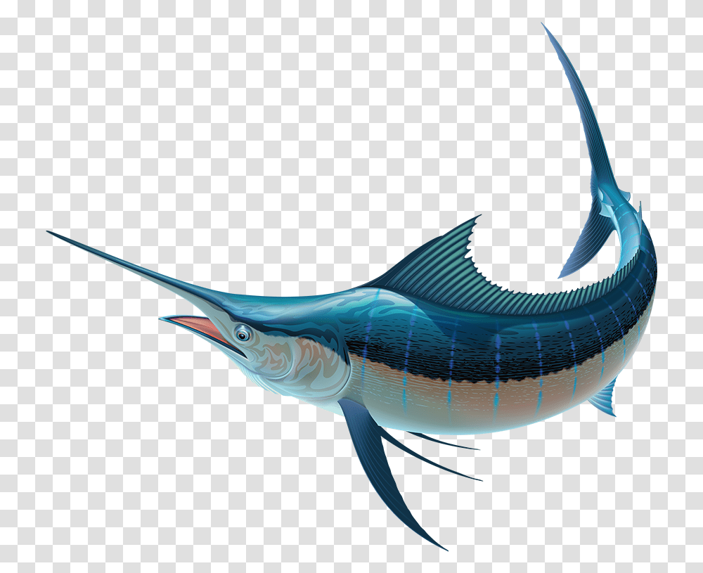 Free Finding Nemo Konfest, Swordfish, Sea Life, Animal, Bird Transparent Png