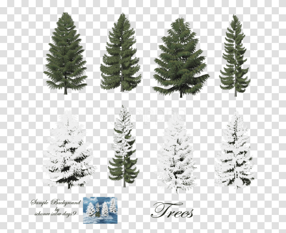 Free Fir Tree Free Images Background Snow On Trees Photoshop, Plant, Pine, Abies, Conifer Transparent Png