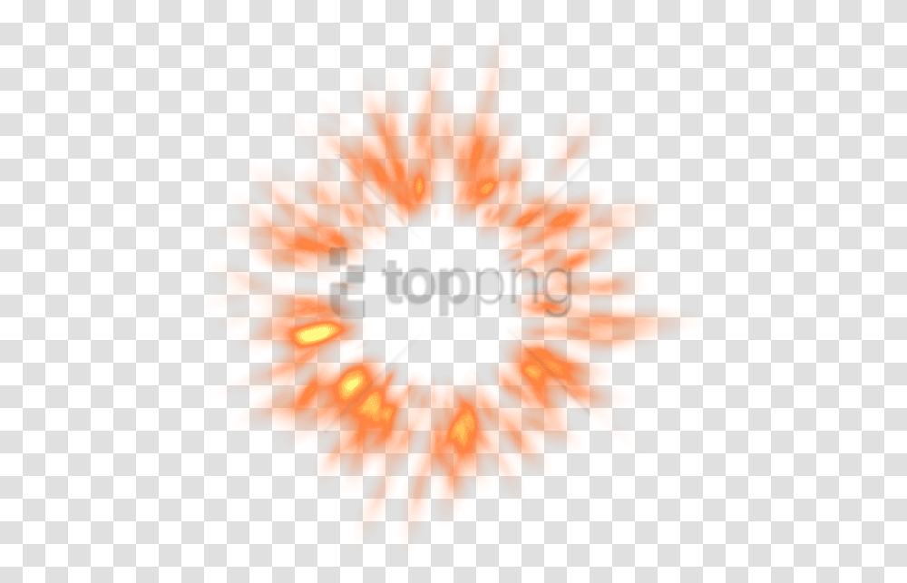 Free Fire Effect Images Fire Sparks Gif, Plant, Flower, Blossom, Daisy Transparent Png