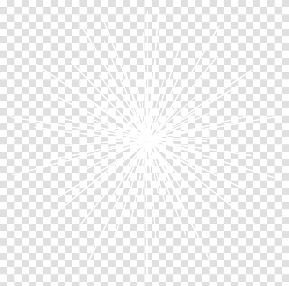 Free Fireworks Konfest, Plant, Flower, Blossom, Outdoors Transparent Png