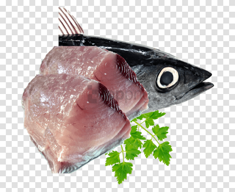 Free Fish Meat Image With Background Fish Meat, Animal, Sea Life, Tuna, Fungus Transparent Png
