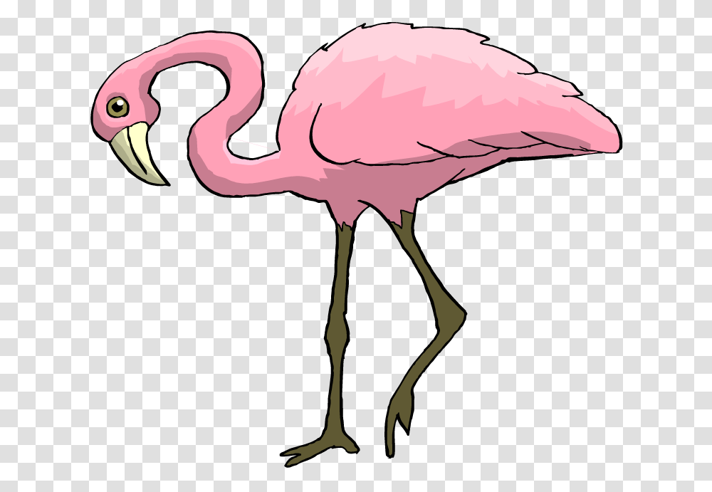 Free Flamingo Clipart, Bird, Animal, Beak Transparent Png