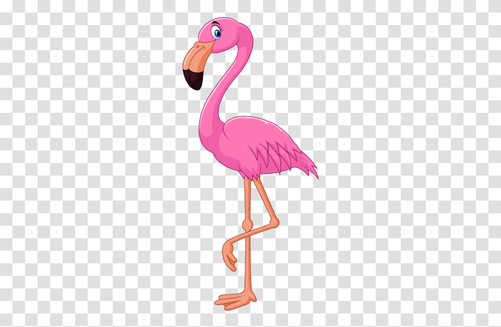 Free Flamingo Download Clipart Flamingo, Bird, Animal, Beak Transparent Png