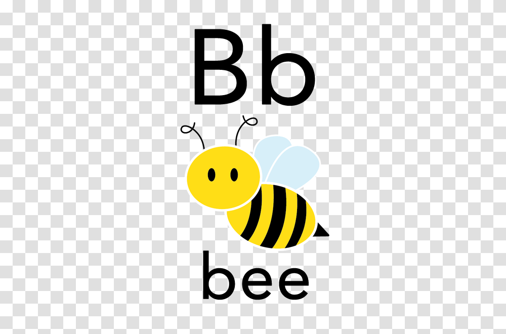 Free Flashcards For Babies Toddlers And Young Children All, Honey Bee, Insect, Invertebrate, Animal Transparent Png