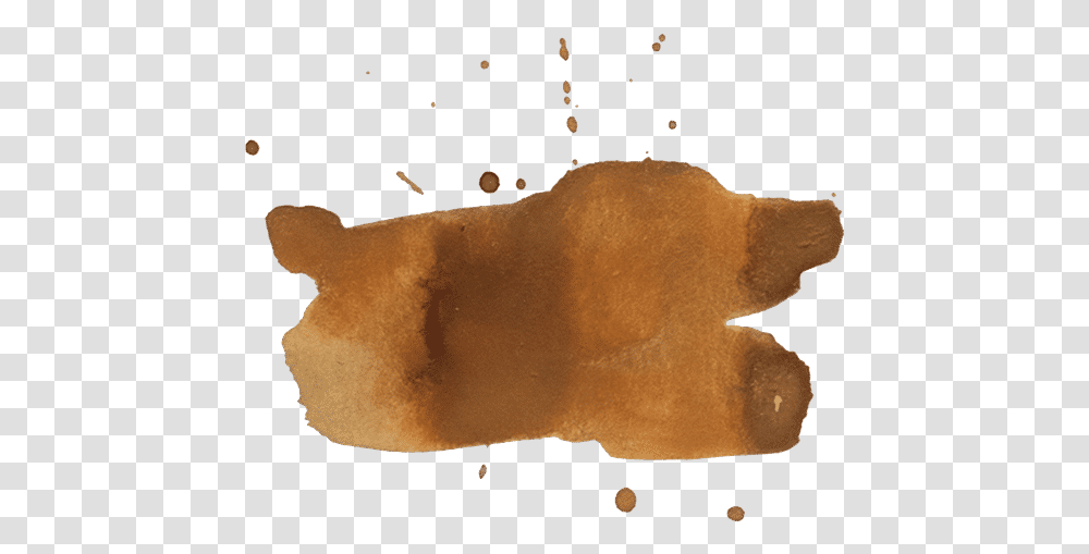 Free Flatworm, Fungus, Food, Stain, Hand Transparent Png