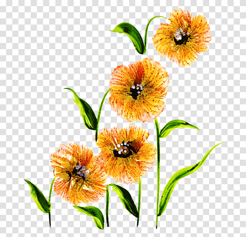 Free Floral Bouquets, Plant, Flower, Blossom, Pollen Transparent Png