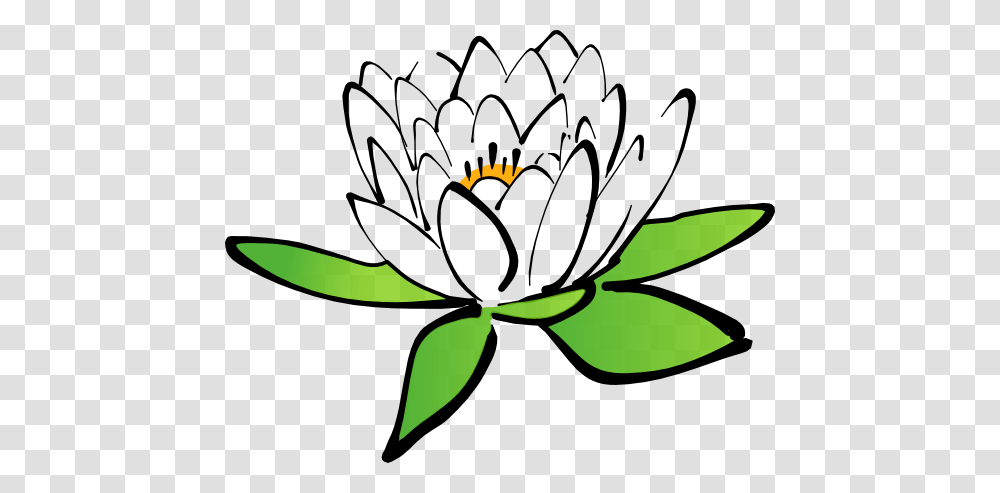 Free Floral Clipart, Plant, Flower, Pattern, Pond Lily Transparent Png