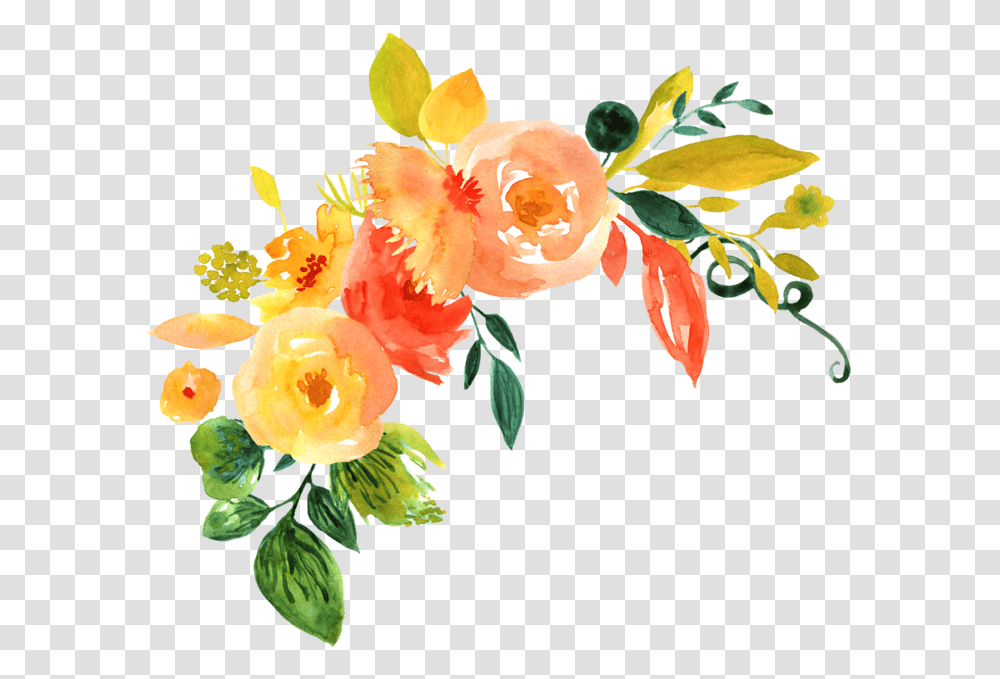 Free Floral Orange Watercolor Flowers, Plant, Blossom, Rose Transparent Png