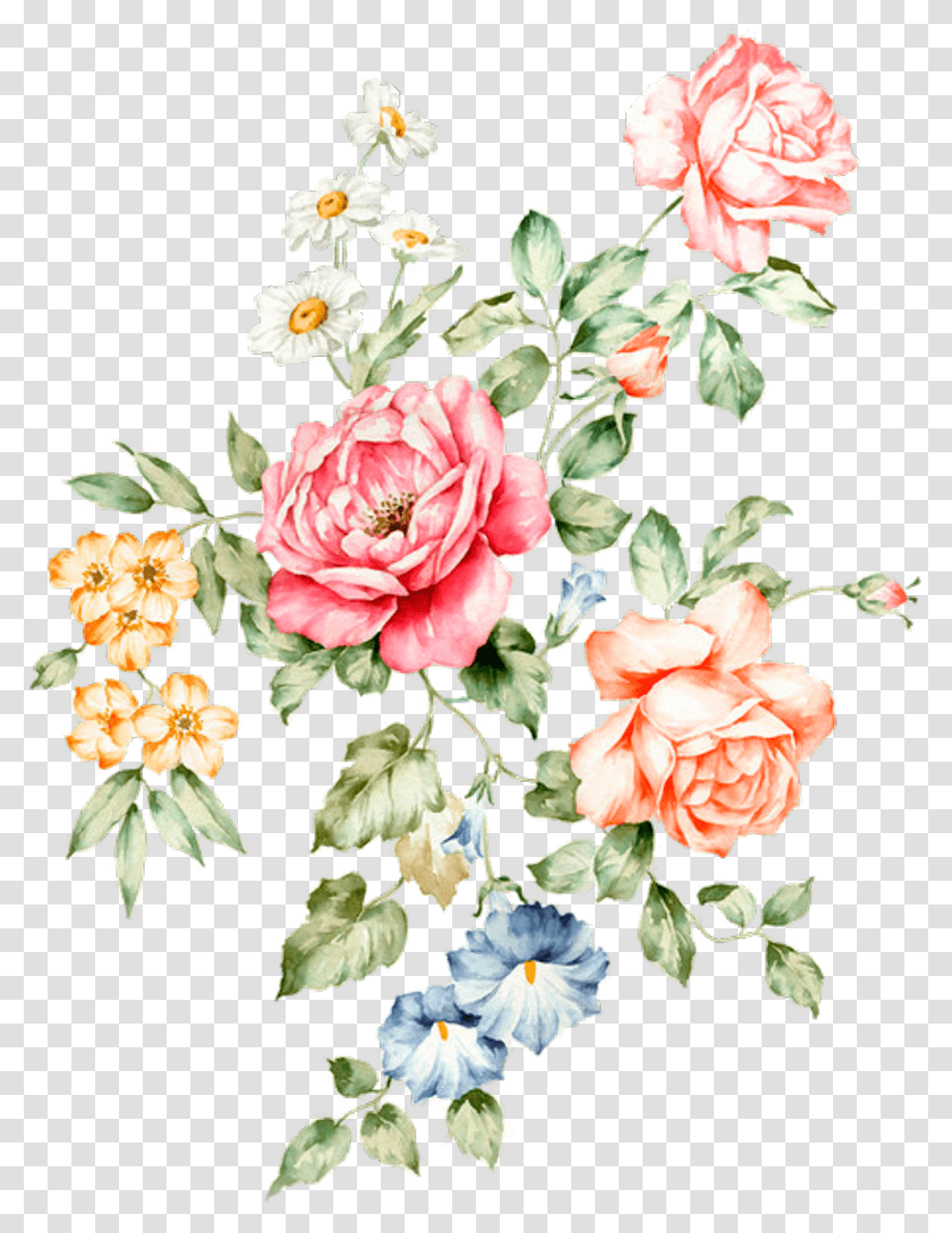 Free Floral, Plant, Rose, Flower, Blossom Transparent Png