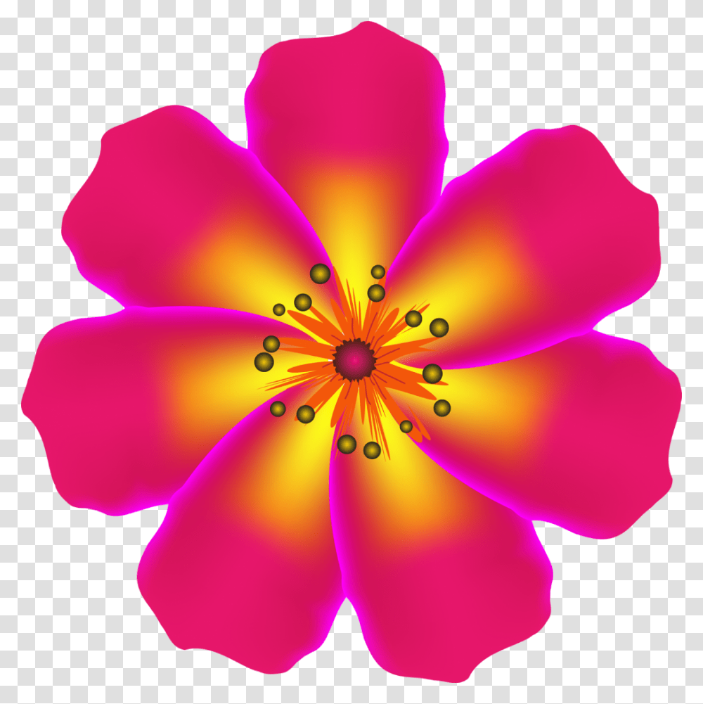 Free Floral Vector Art Blossom, Plant, Petal, Flower, Anther Transparent Png