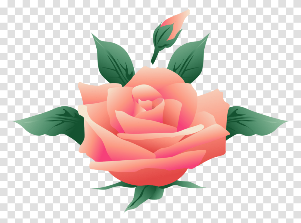 Free Floral Vector Art, Rose, Flower, Plant, Blossom Transparent Png