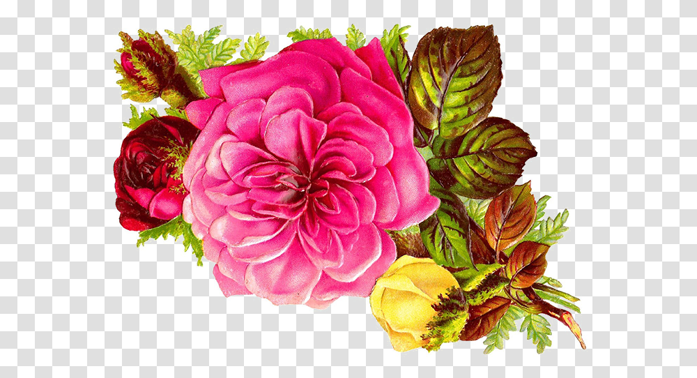 Free Flower Clipart Background Images Pink Yellow Flowers, Dahlia, Plant, Rose, Fruit Transparent Png