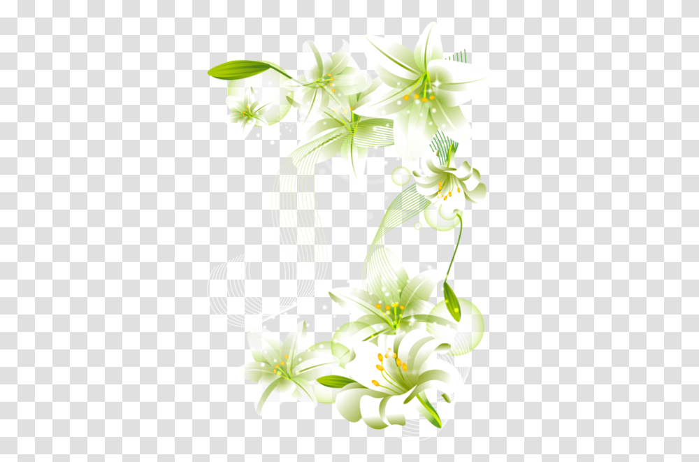 Free Flower Clipart White Flower Border Background, Graphics, Plant, Lily, Blossom Transparent Png