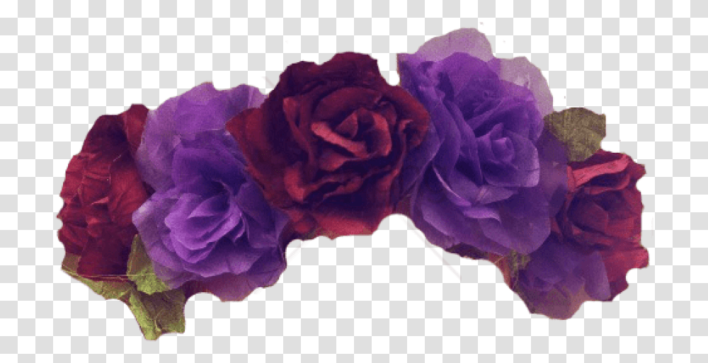 Free Flower Crown Overlay Image Purple Flower Crown, Plant, Blossom, Geranium, Rose Transparent Png