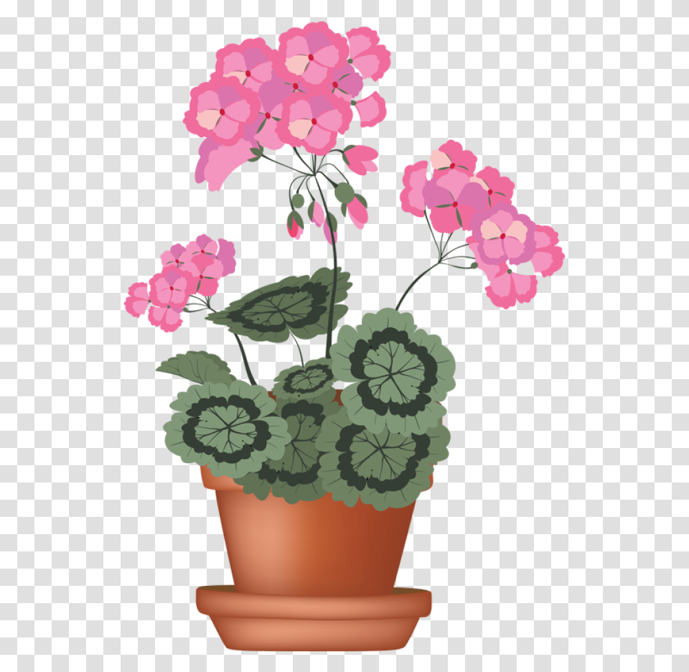 Free Flower Pots Download Clip Art Potted Flower Clip Art, Plant, Blossom, Geranium, Pattern Transparent Png