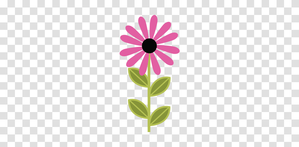 Free Flower Svgs, Plant, Daisy, Daisies, Blossom Transparent Png