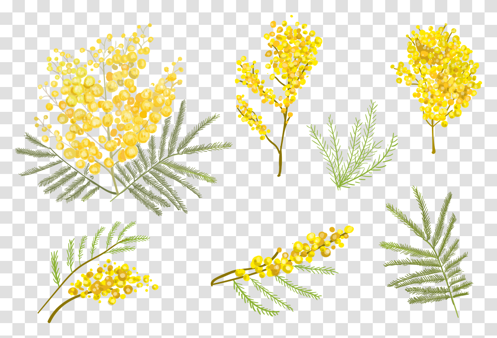Free Flower Vector Clipart Banner Black And White Flower Watercolor Yellow Flower Background, Plant, Blossom, Food, Mimosa Transparent Png