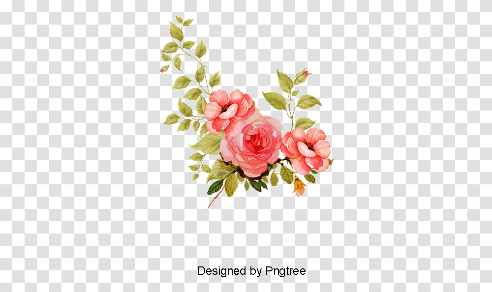 Free Flower Vector Floral Vector, Plant, Rose, Blossom, Petal Transparent Png