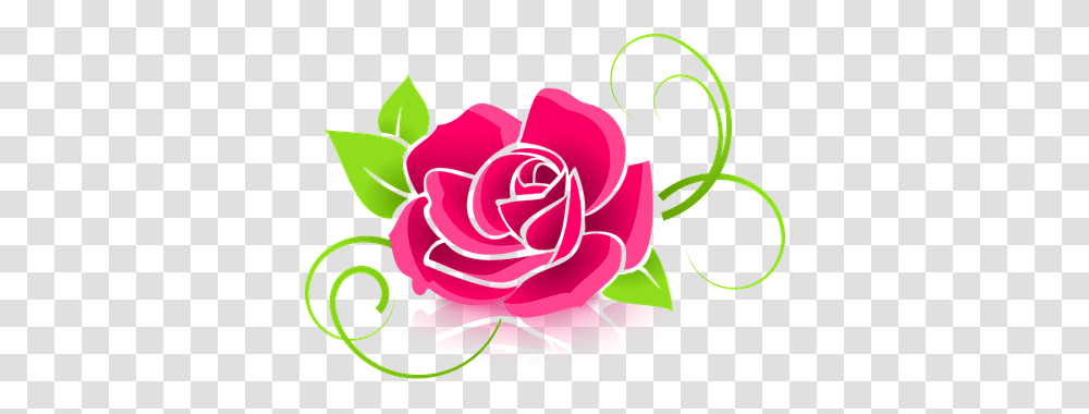 Free Flower Vector Vectores De Rosas, Rose, Plant, Blossom, Graphics Transparent Png