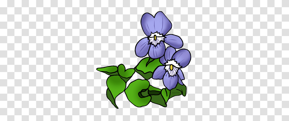 Free Flowers Clip Art, Plant, Blossom, Pansy, Anemone Transparent Png