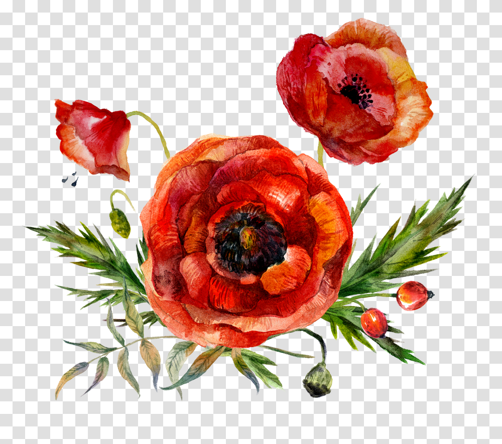 Free Flowers Konfest Flowers Watercolor Red, Plant, Rose, Blossom, Petal Transparent Png