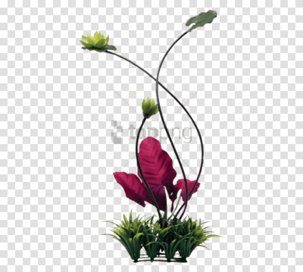 Free Fluval Chi Lily Pad And Plant Grass Ornament Fluval Chi Aquarium, Advertisement, Poster, Flower Transparent Png