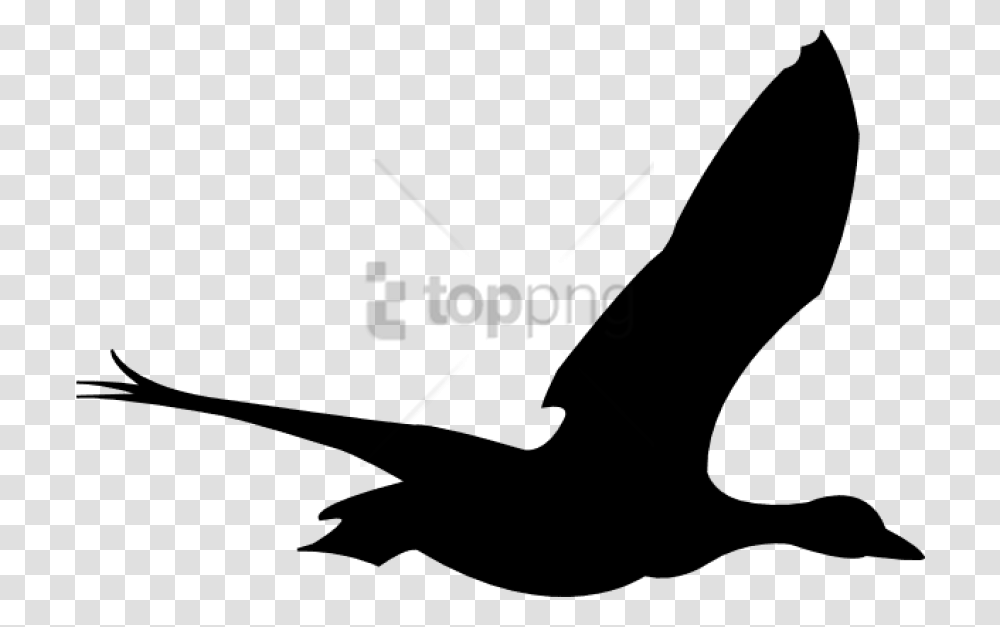 Free Flying Birds Animation Image With Flying Bird Gif, Animal, Silhouette, Blackbird, Seagull Transparent Png