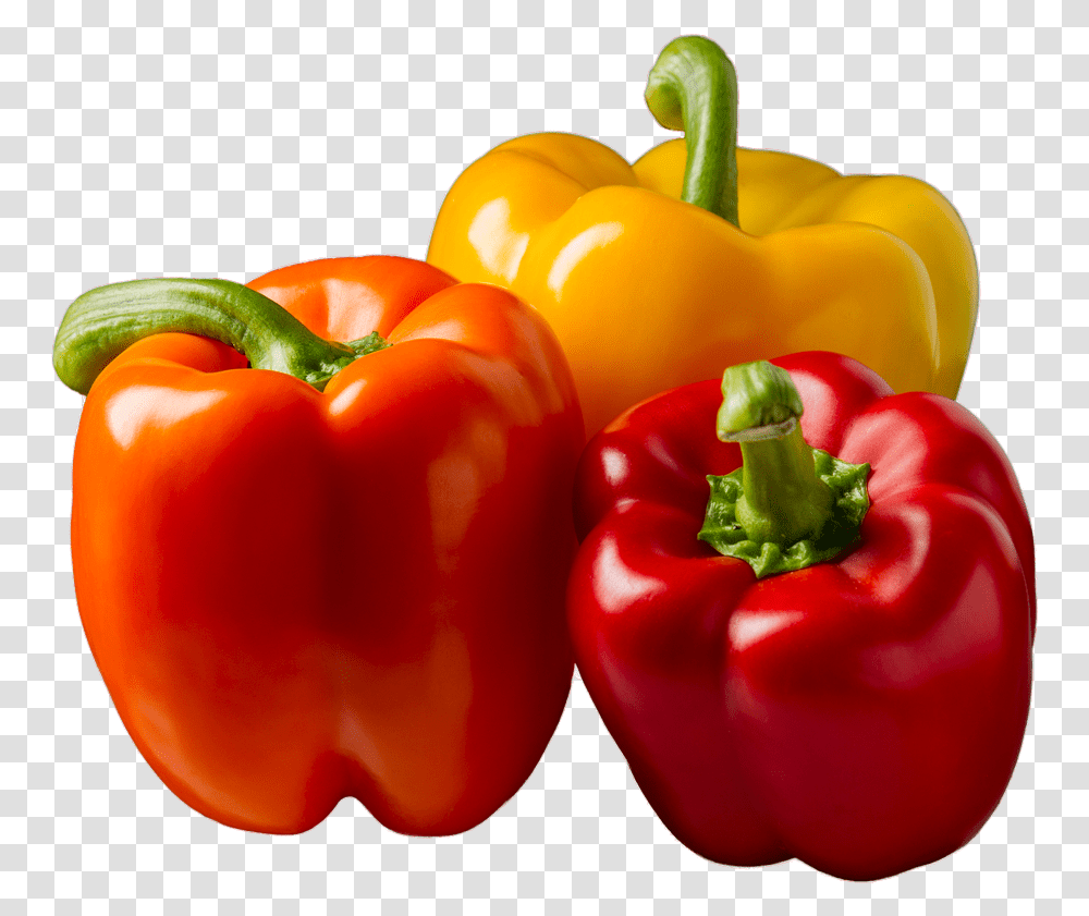 Free Food Bell Paper Hd, Plant, Vegetable, Pepper, Bell Pepper Transparent Png