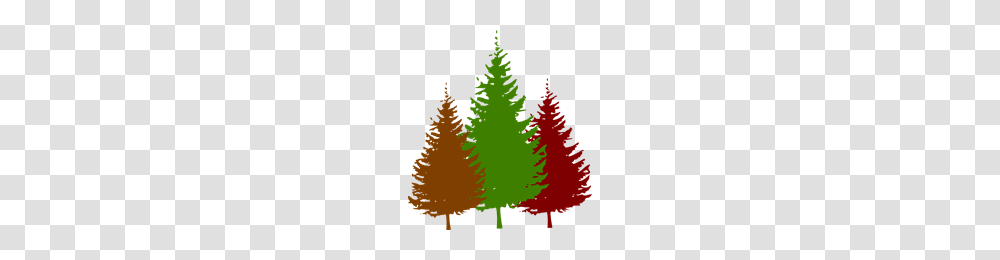 Free Forest Clipart Forest Icons, Tree, Plant, Ornament, Christmas Tree Transparent Png