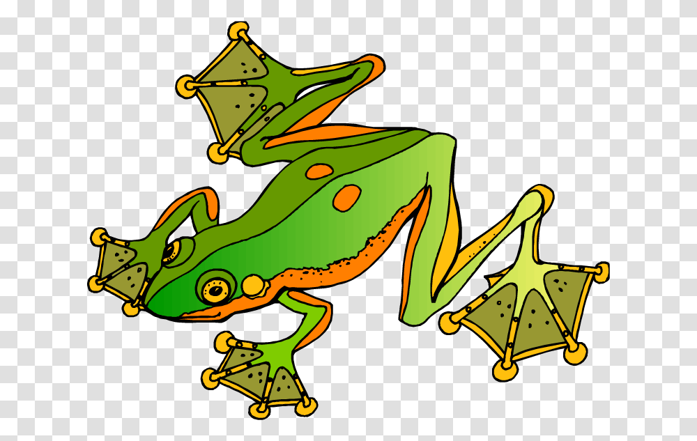 Free Frog Clipart, Amphibian, Wildlife, Animal, Horse Transparent Png