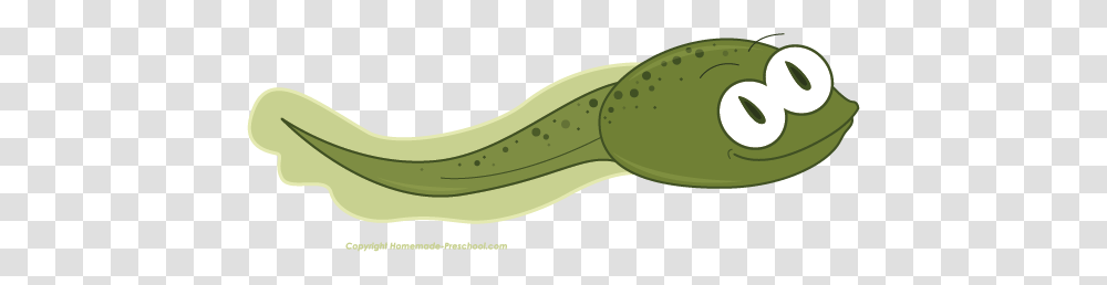 Free Frog Clipart, Banana, Fruit, Plant, Food Transparent Png