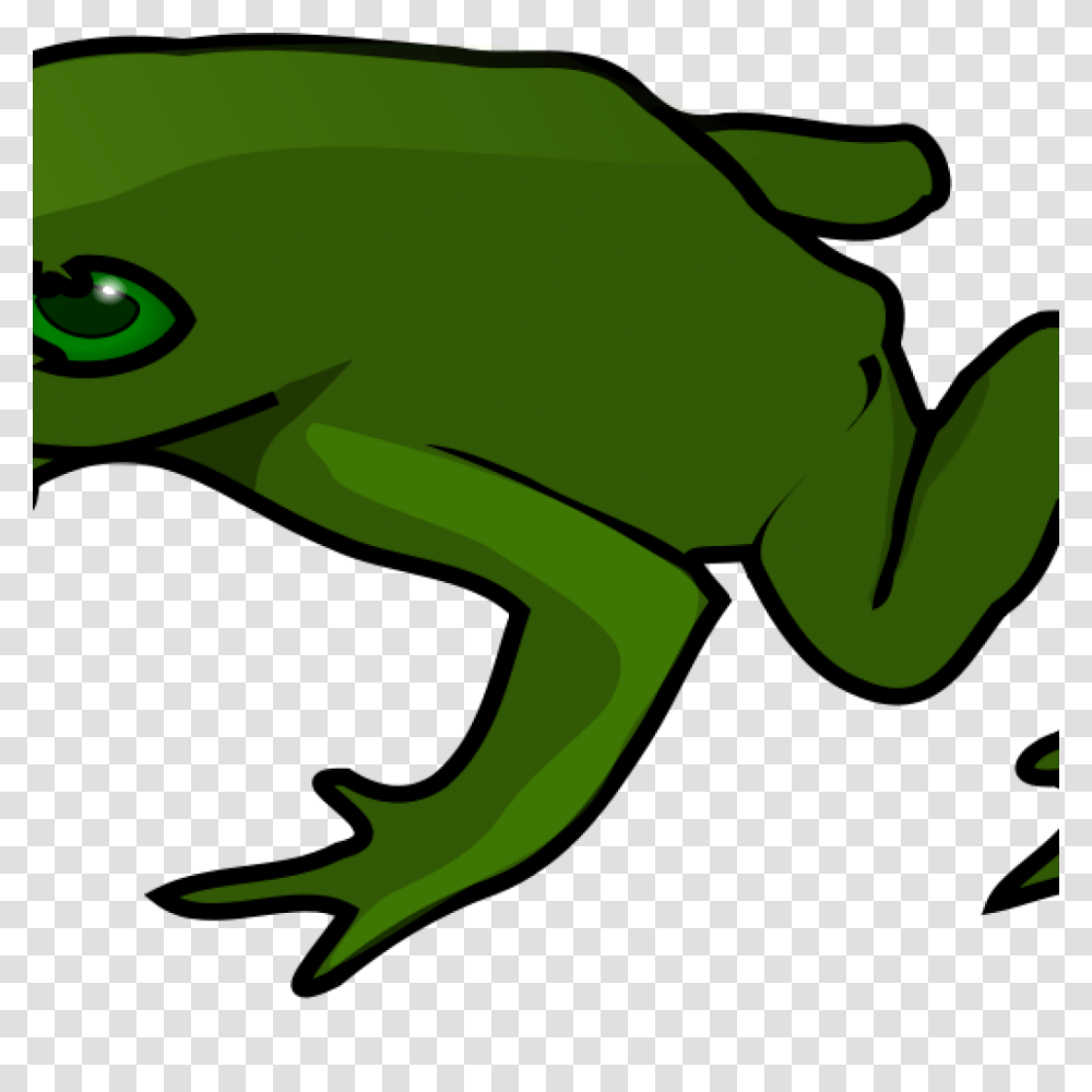 Free Frog Clipart Bear Clipart House Clipart Online Download, Amphibian, Wildlife, Animal, Tree Frog Transparent Png