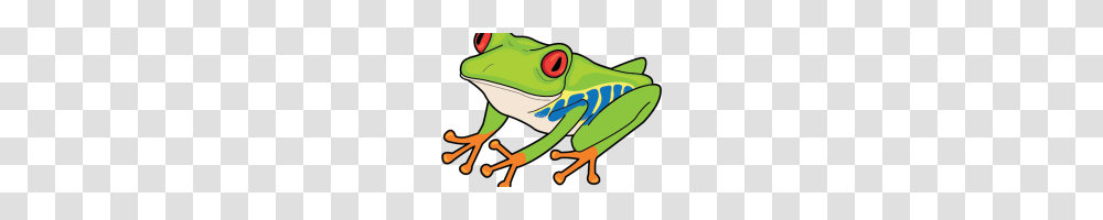 Free Frog Clipart Free Cute Frog Clip Art, Amphibian, Wildlife, Animal, Tree Frog Transparent Png