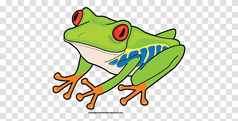 Free Frog Clipart Ready For Personal And Commercial Projects, Amphibian, Wildlife, Animal, Tree Frog Transparent Png
