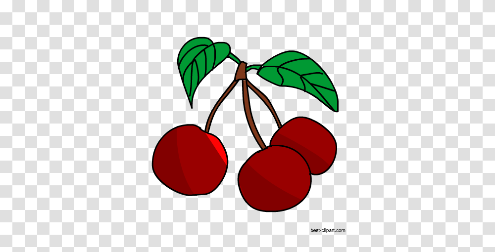 Free Fruits Clip Art Images And Graphics, Plant, Food, Cherry, Lamp Transparent Png