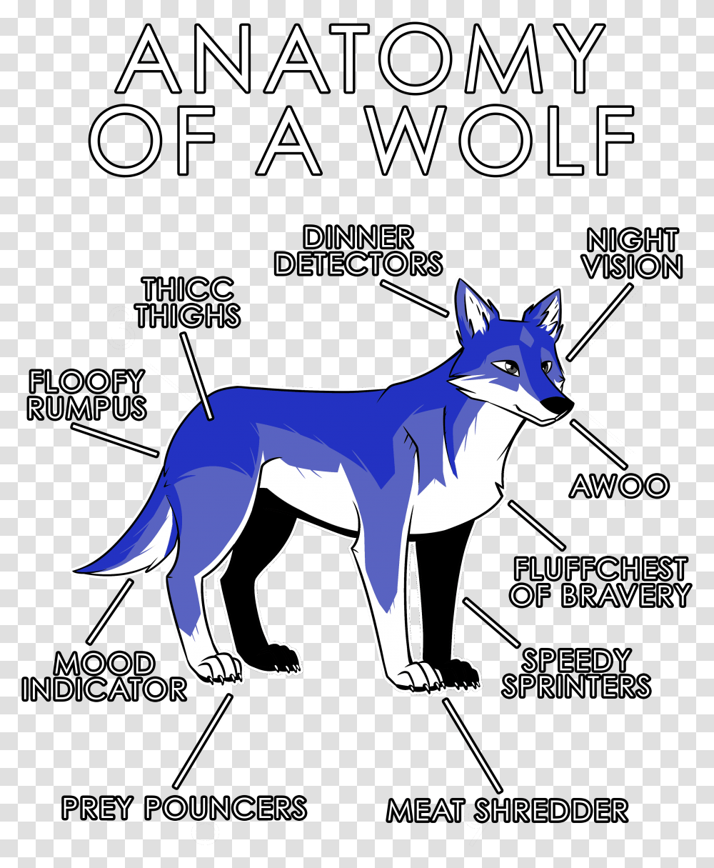 Free Furry Wolf Base, Poster, Advertisement, Flyer, Paper Transparent Png