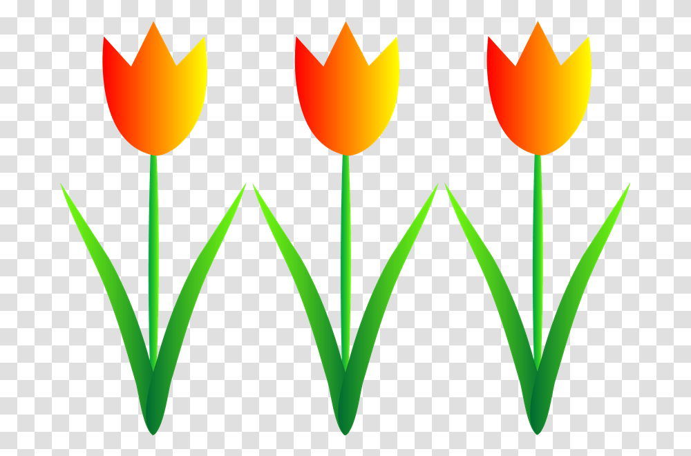 Free Garden Clip Art, Plant, Flower, Tulip, Lighting Transparent Png